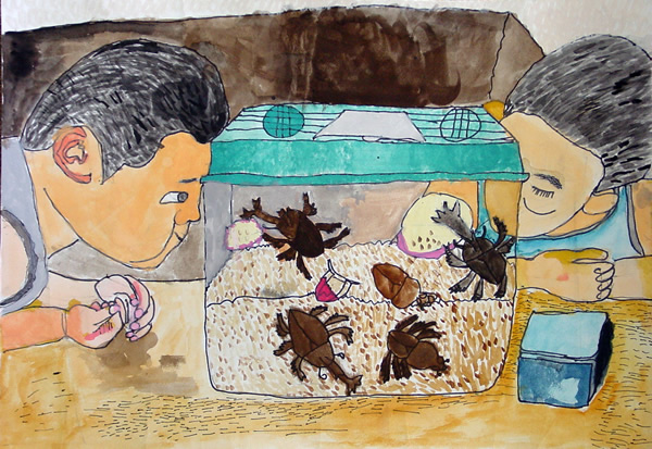 「ぼくの家族 カブト虫」岡本 滉生（山口小学校4年）